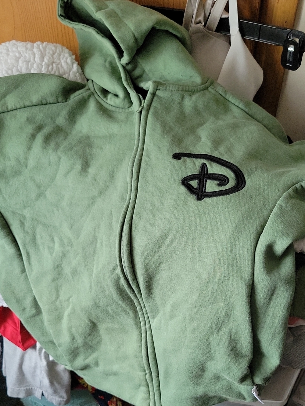 Disney Green Hoodie with Black Logo
